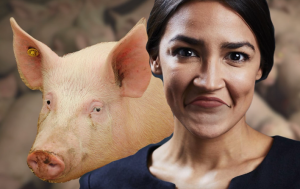 Citizens Against Government Waste Names Rep. Alexandria Ocasio-Cortez 2019 Porker of the Year