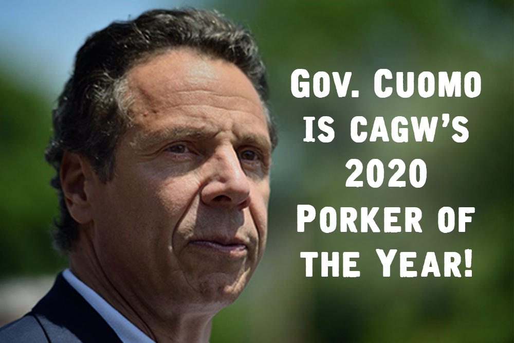 Citizens Against Government Waste Names Gov. Andrew Cuomo 2020 Porker of the Year