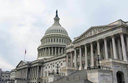 The Congressional JSF Caucus:  A Logic-Free Zone