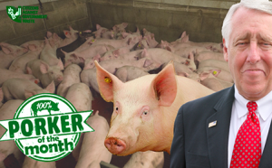 CAGW Names House Majority Leader Steny Hoyer August 2020 Porker of the Month