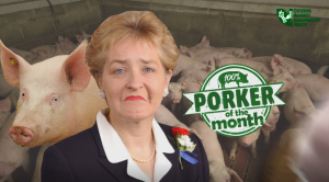 CAGW Names Rep. Marcy Kaptur July 2019 Porker of the Month