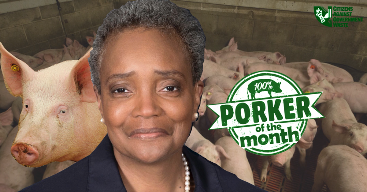 CAGW Names Chicago Mayor Lori Lightfoot November 2019 Porker of the Month