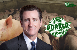 CAGW Names California Governor Gavin Newsom January 2020 Porker of the Month