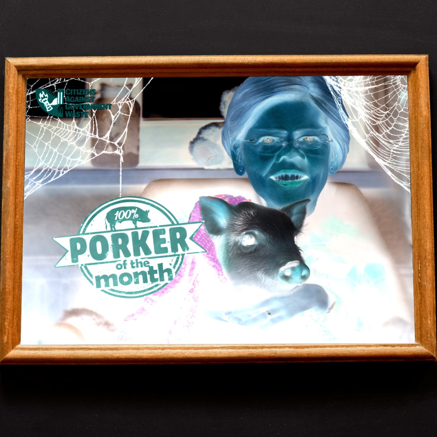 Citizens Against Government Waste Names Sen. Elizabeth Warren October 2022 Porker of the Month