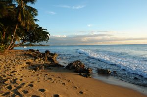 Council for Citizens Against Government Waste Endorses Puerto Rico Admission Act