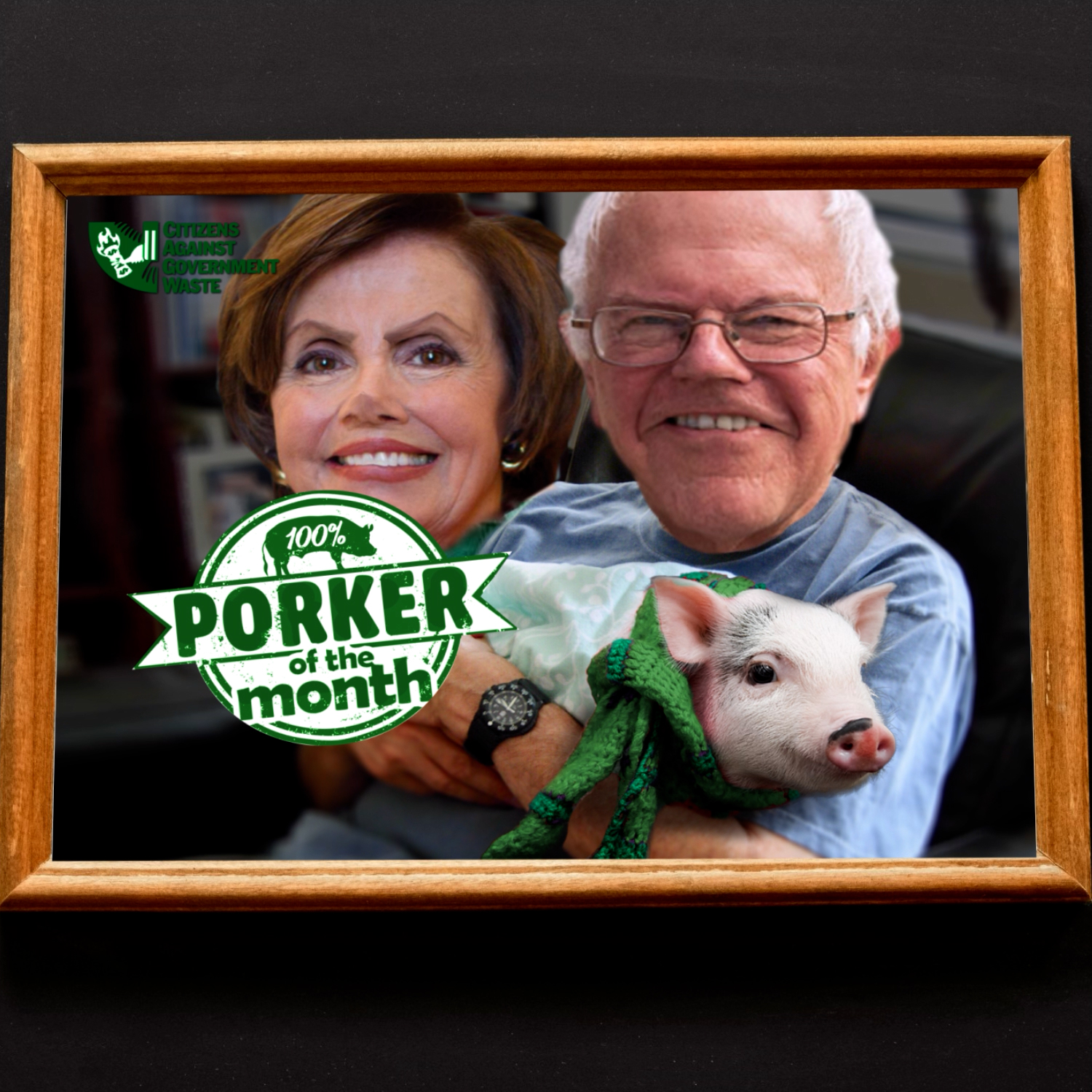 CAGW Names House Speaker Nancy Pelosi and Sen. Bernie Sanders September 2021 Porkers of the Month