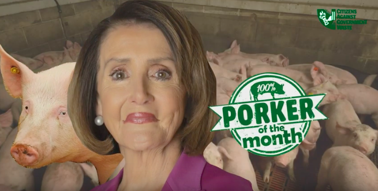 CAGW Names Speaker Nancy Pelosi October 2019 Porker of the Month