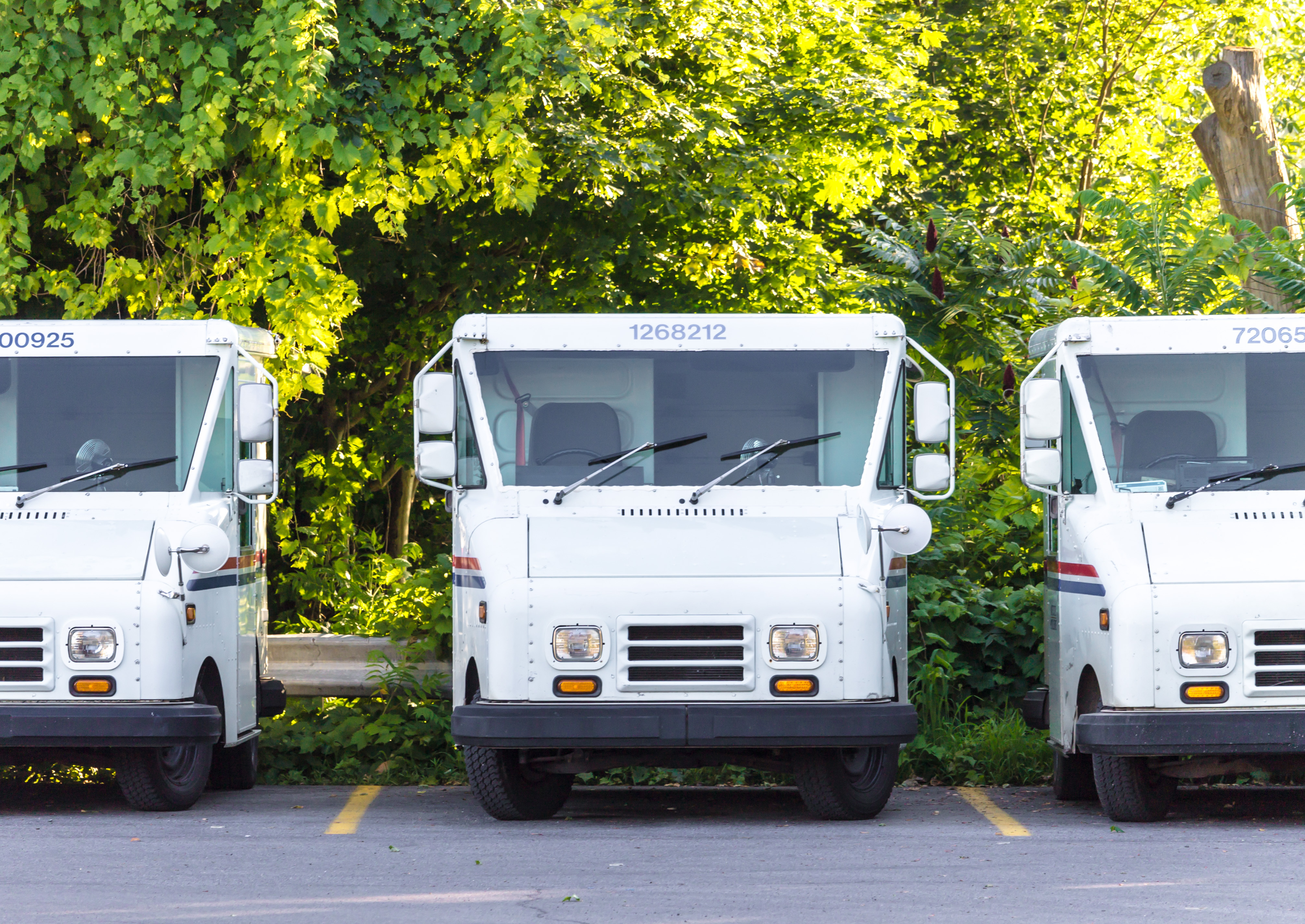Washington Examiner: The USPS has lost $69 billion over the past 11 years.