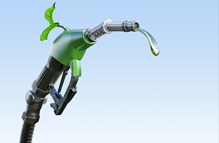 New USDA Mandate for Biofuels Should be Withdrawn