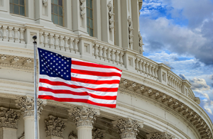 Congress can stop unnecessary government spending by rejecting the new taxes and pet projects that litter Biden's&nbsp;budget.