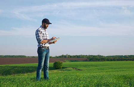 Reverse Auctions will Benefit Rural Americans