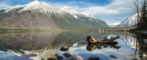 Citizens Against Government Waste Applauds Interior Department's Historic Reorganization Plan