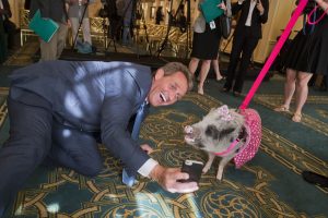 Media Alert: 2018 Congressional Pig Book to Be Released This Wednesday, July 18, 2018