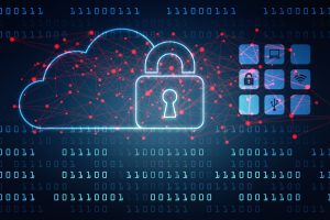 Citizens Against Government Waste Releases Issue Brief on The Path to a National Privacy Framework