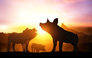 CCAGW Leads a Coalition Urging Congress to Reject the Restoration of Earmarks